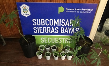 Hallan un “indoor casero” con plantines de marihuana  Imagen de la nota: Hallan un “indoor casero” con plantines de marihuana
