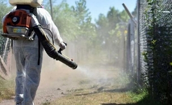 Dengue: crecieron 12% los casos en una semana Imagen de la nota: Dengue: crecieron 12% los casos en una semana