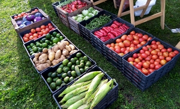 Imagen de la nota: Nueva feria de verduras del MTE Rural 