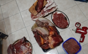 Faenaron vacas preñadas: dos allanamientos Imagen de la nota: Faenaron vacas preñadas: dos allanamientos