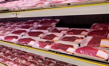 Imagen de la nota:  La UCR rechaza el cierre de la exportación de la carne