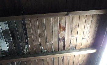 Imagen de la nota: Tiene un hijo operado del corazón y debe dejar su casa