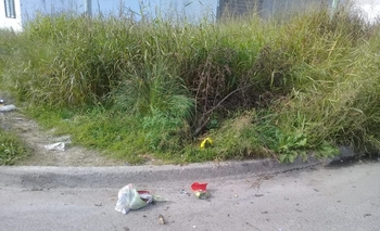 Imagen de la nota: Indignación por pastizales y basura en descomposición