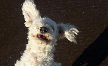 Imagen de la nota: Buscan a Tete: “Estamos preocupados”