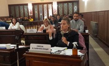 Amespil: “La política metió la cola en las TUVI” Imagen de la nota: Amespil: “La política metió la cola en las TUVI”