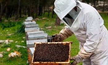 Imagen de la nota: Taller de iniciación apícola en INTA