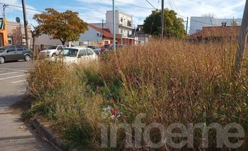 Imagen de la nota: Reclaman por el estado de un terreno frente a San Antonio