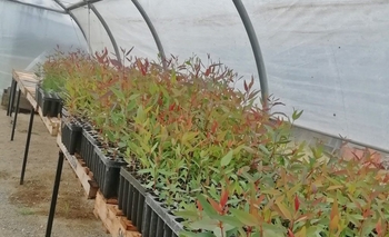 Continúa la inscripción para el Plan de Incentivos Imagen de la nota: Continúa la inscripción para el Plan de Incentivos