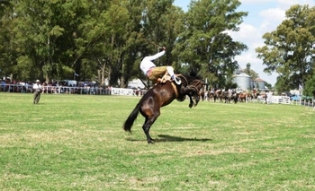 Imagen de la nota: General Villegas: aprueban ordenanza para regular jineteadas