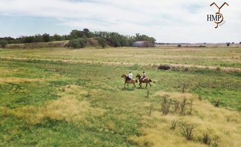 Hacienda MP, el proyecto que busca transformar el sector agropecuario de Olavarría  Imagen de la nota: Hacienda MP, el proyecto que busca transformar el sector agropecuario de Olavarría