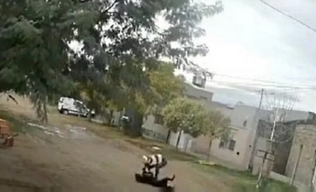 Imagen de la nota: Video: golpeó a un perro hasta dejarlo desmayado