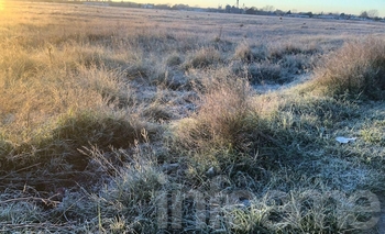 Imagen de la nota: Alerta amarillo por frío: Olavarría amaneció con casi 7ºC bajo cero