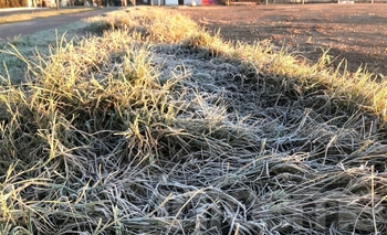 Domingo con heladas y las temperaturas más bajas en lo que va de año Imagen de la nota: Domingo con heladas y las temperaturas más bajas en lo que va de año