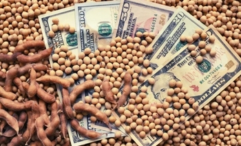 Imagen de la nota: Dato clave para el plan económico del gobierno: el campo liquidó en abril un 32% más