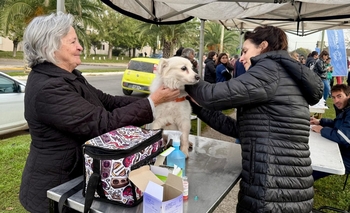 Imagen de la nota: Impulsan un operativo de bloqueo antirrábico para este martes en el Microcentro
