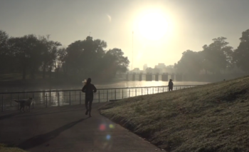 Imagen de la nota: Frío, tímidos rayos del sol y neblina, la pintura de la mañana del viernes