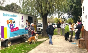 Imagen de la nota: Dónde atenderá el Quirófano Veterinario Móvil durante la semana