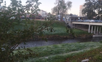Imagen de la nota: Otra semana que empieza bajo cero y con una helada