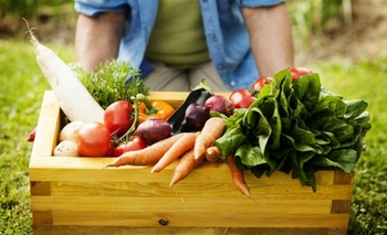 Imagen de la nota: Consejos para no perder el sueldo y comer alimentos orgánicos