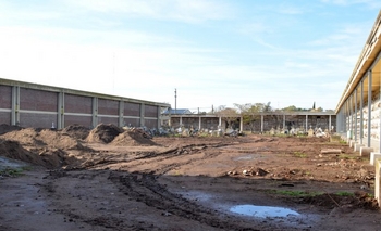 Imagen de la nota: Muros perimetrales, tareas de parquización y terminación de aleros