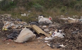 Imagen de la nota: Solicitaron la limpieza de la zona del Complejo Universitario