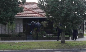 Imagen de la nota: Insólito: intentó robar pero quedó incrustado en la reja