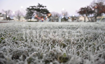 Imagen de la nota: Cómo estará el tiempo durante la semana