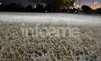 Se registró la temperatura más fría en lo que va del año Imagen de la nota: Se registró la temperatura más fría en lo que va del año