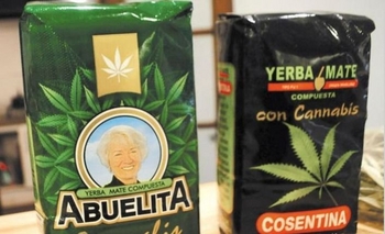 Imagen de la nota: La yerba mate con cannabis llega a Uruguay