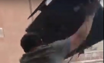 Imagen de la nota: Córdoba: Perdió Argentina y tiró el televisor por la ventana