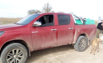 Imagen de la nota: Demoraron a cuatro hombres por cazar con galgos