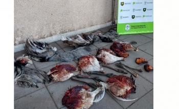 Imagen de la nota: Más infracciones por caza furtiva