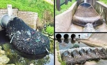 Imagen de la nota: Greenpeace se sumó a un pedido de joven olavarriense