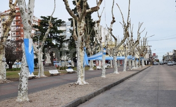Imagen de la nota: La Plaza Central, toda de celeste y blanco