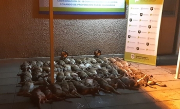 Imagen de la nota: Tres hombres demorados por caza furtiva