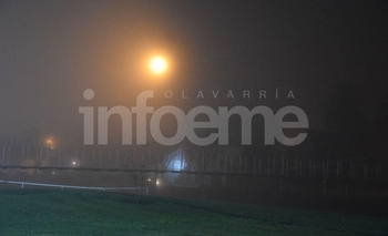 Imagen de la nota: Precaución: visibilidad reducida por niebla