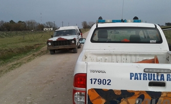 Imagen de la nota:  Cuatro demorados por caza furtiva con perros galgos