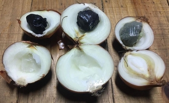 Imagen de la nota: Intentaron ingresar droga en cebollas, focos y galletitas