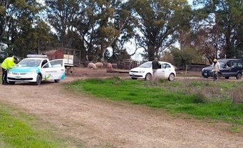 Imagen de la nota: Abrió un camino clandestino y cobraba $500 para pasar