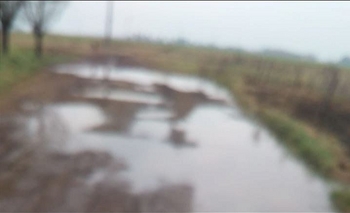 Imagen de la nota: Cochi-Tué: 