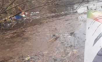 Imagen de la nota: Buscan incorporar los delitos ambientales al Código Penal