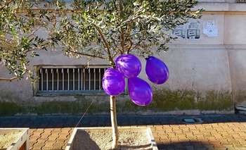 Imagen de la nota: Realizó una intervención por la desaparición de Tehuel