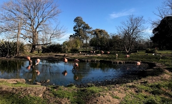 Vacaciones de invierno: Qué actividades hay este miércoles para los más pequeños Imagen de la nota: Vacaciones de invierno: Qué actividades hay este miércoles para los más pequeños