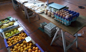 Imagen de la nota: El MTE Rural continúa con las ferias de verduras