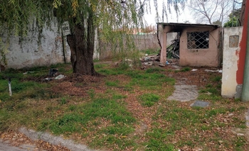 Imagen de la nota: Terreno abandonado: “Hay ratas y murciélagos”