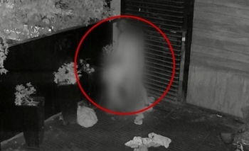 Imagen de la nota: Tuvieron sexo en un bar y fueron grabados por las cámaras de seguridad 