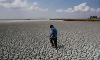 Imagen de la nota: ¿El hombre es el principal culpable del cambio climático?: la dura advertencia de los especialistas