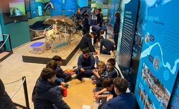 Imagen de la nota: Visitas educativas al Museo de las Ciencias