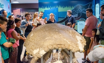 Imagen de la nota: Olavarría hace 10.000 años: El Museo de las Ciencias invita a un 