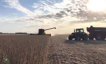 El campo apura la venta de soja antes que vuelvan a subir las retenciones Imagen de la nota: El campo apura la venta de soja antes que vuelvan a subir las retenciones